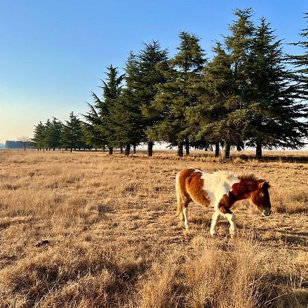 Merino Stal Guest Farm Эрмело Экстерьер фото